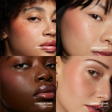 CAMELLIA DARK | كاميليا غامق